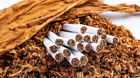 �й�����