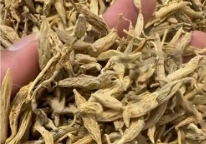 ��������ҩ��