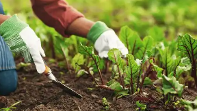 �й��л�ũҵƽ̨