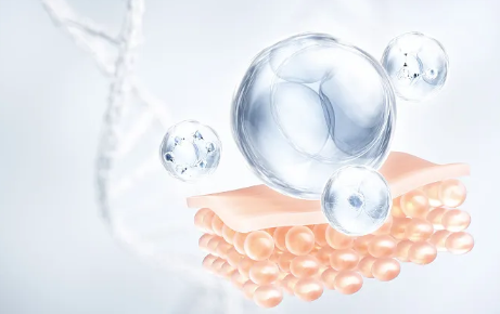 ҽ������